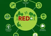 Sistema Jurisdicional de REDD+