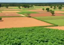 municípios do Pará e Tocantins