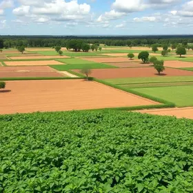 municípios do Pará e Tocantins