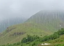 Abaetetuba dia de chuva