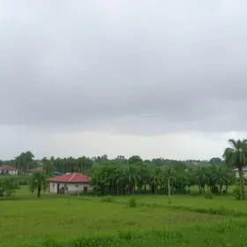 pancadas fortes em Abaetetuba