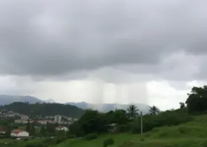 Últimas noticias de Abaetetuba