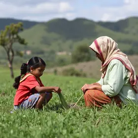 assistência ao segurado