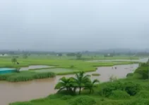 alerta laranja chuvas intensas Abaetetuba