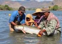 Acordo de Pesca em Abaetetuba