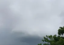 previsão do tempo em Abaetetuba