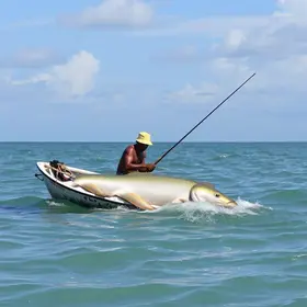 abertura da pesca do mapará