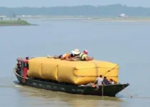 carga irregular de açaí