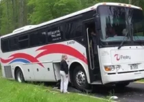 ônibus de passeio