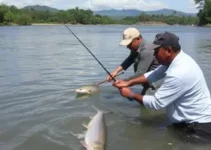 Acordo de Pesca do Rio Maúba