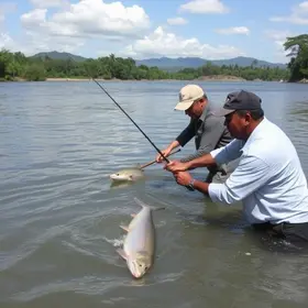 Acordo de Pesca do Rio Maúba