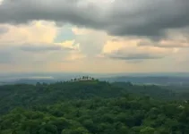 miriti