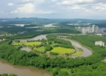 Verão Amazônico