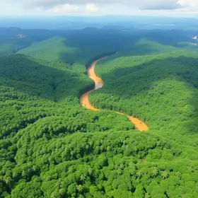 Amazônia