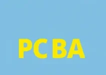 edital PC BA