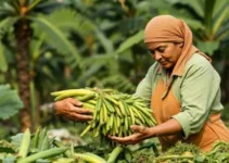 trabalho degradante na cadeia produtiva