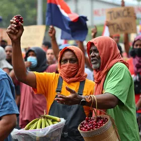 trabalhador de Abaetetuba e açaí
