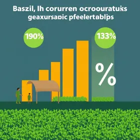 cooperativas
