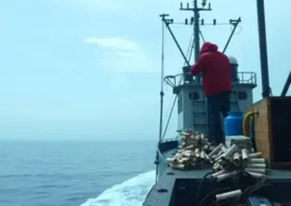 Últimas noticias de Abaetetuba