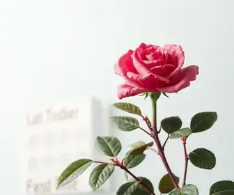 Outubro Rosa em Abaetetuba